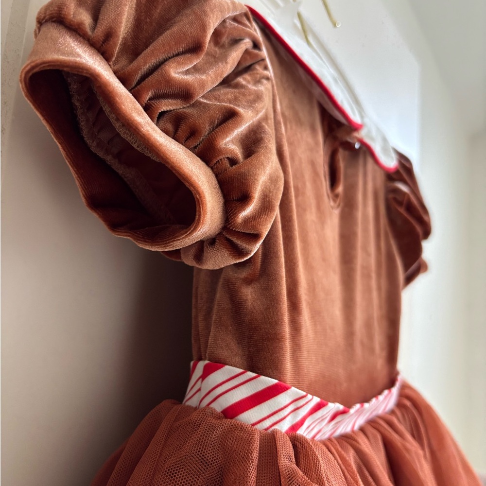 Taylor Joelle Gingerbread Dress - Size 4 - Picture 7 of 8